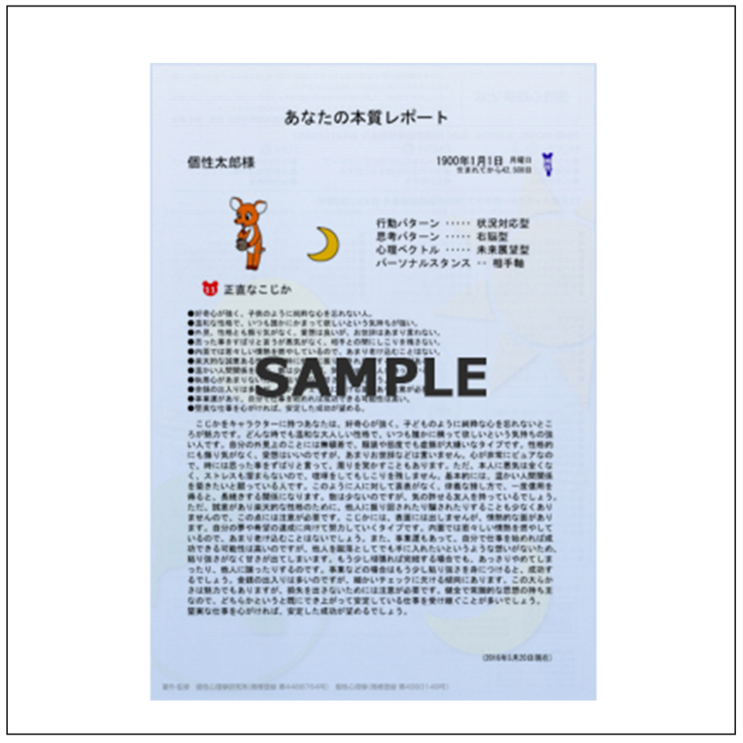[個性心理學®個性診断レポート]No.11 あなたの本質レポート